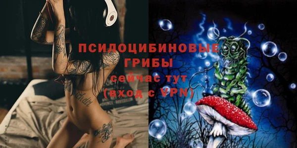 ешки Иннополис
