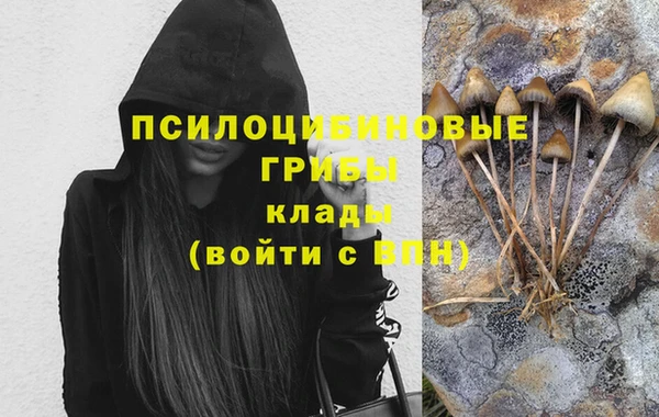 спайс Алексин