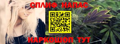 прущие грибы Ачхой-Мартан