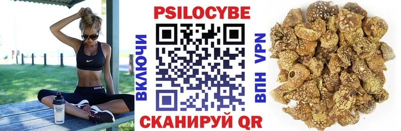 магазин  наркотиков  кракен ONION  Псилоцибиновые грибы Psilocybine cubensis  нарко площадка формула  Алексин 