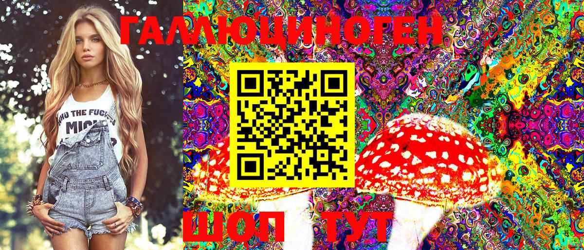 Псилоцибиновые грибы Cubensis Алексин